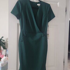 NWT Calvin Klein Dress